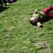 Two-year-old Charlie Getty rolls down a hill during Earth Day at the Leslie Science and Nature Center on Sunday, April 21. AnnArbor.com I Daniel Brenner